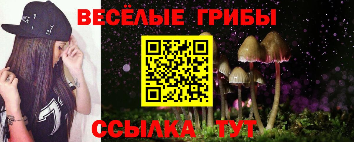Галлюциногенные грибы Cubensis  Вход с VPN  Галлюциногенные грибы Psilocybe  Тимашёвск 